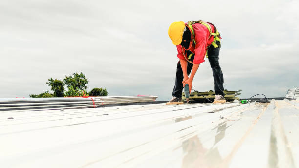 Best Sheet Metal Roofing  in Hart, TX